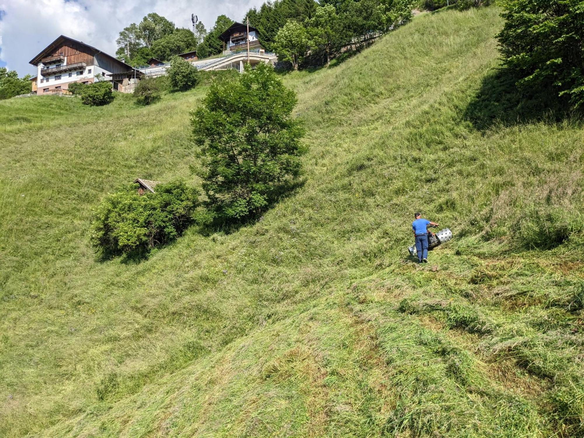 Notlehenhof *